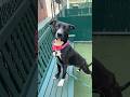 Venus 252924🩷gorgeous lovely girl!