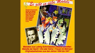 Melodie der Nacht (Melody of the Night) : Du bist alles fur mich, susse kleine Mary