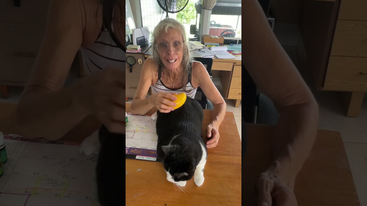 Young living 22 month review Part 6 of 6. Fur babies