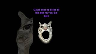 #memes #funny #cats#cat#gato#gatos