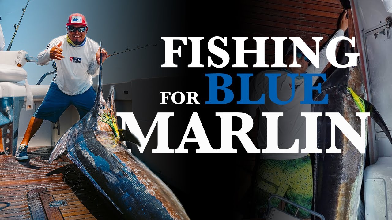 Blue Marlin Fishing Cabo 🔥 Aboard Our 50ft Bertram (GIANT Strike!)
