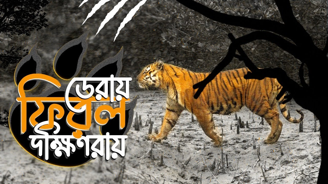 tv9-bangla-live-tv-breaking-tiger