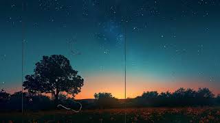 😴 Sleep Tight: Indulge in a Calming Ambience for Ultimate Relaxation 🎵