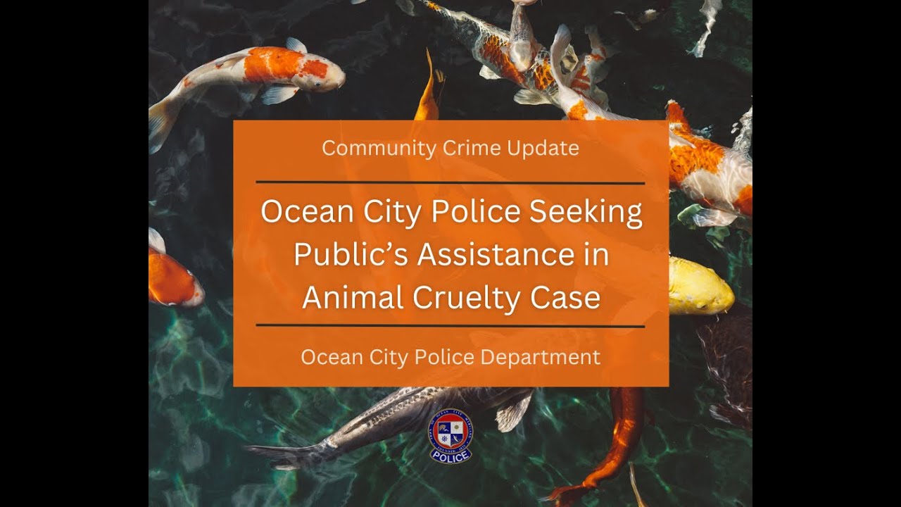 Ocean City Police Seeking Public’s Assistance in Animal Cruelty Case ...