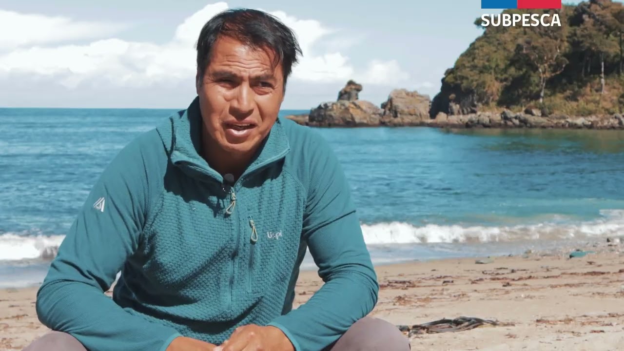 Caleta Manzano - Turismo