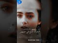 مصطفى حجاج سنين 