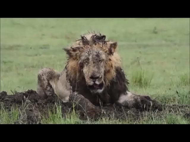 Апай мен жиен порно онлайн орысша Олар колхозшы қызды жыныстық қатынасқа азғырған