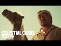 Taevane kaamel-general1