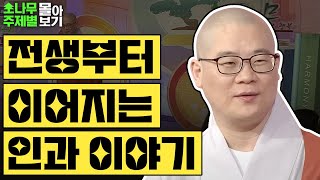 전생부터 이어지는 인과 이야기 TOP3 ✨  [광우스님 소나무 주제별 몰아보기]