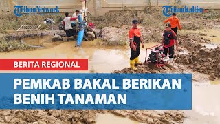 Banjir di Sepaku Penajam Paser Utara Rendam Sawah Warga, Pemkab Bakal Berikan Benih Tanaman