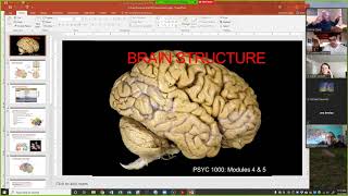 PSYC 1000: Final Review (12.04.2020)