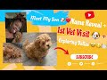 Meet My ShihPoo Puppy! Name Reveal + 1st Vet Visit + Exploring Dallas