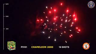 Chameleon 2000 by Winda | P5181 | Fireworks Demo | 501 Pyro