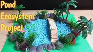 How to make Pond ecosystem Model/DIY Pond school project/Model for school exhibition/Kansal Creation