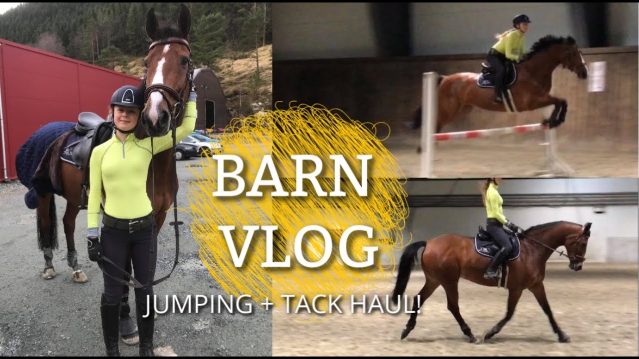 BARN VLOG | Finally jumping again + tack haul! [Feb'19] - YouTube