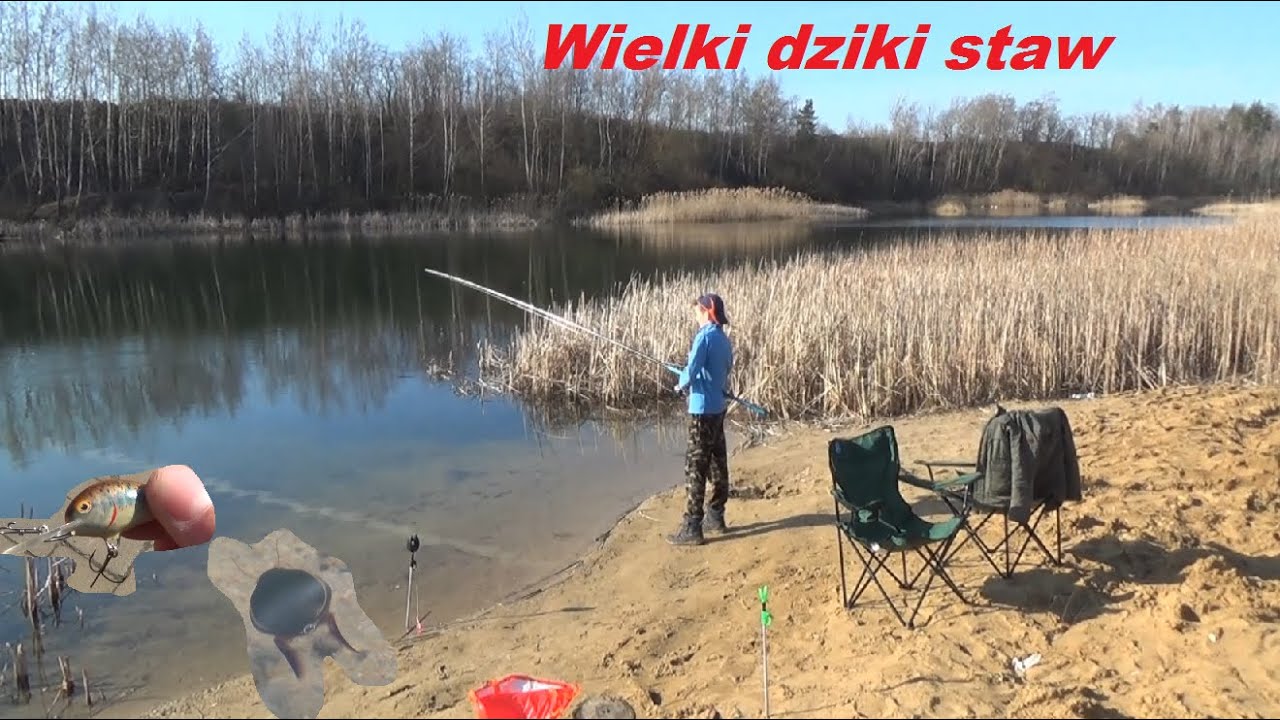 Sposoby Polowania Drapieżników POLOWANIE na DRAPIEŻNIKI na DZIKIM STAWIE - YouTube