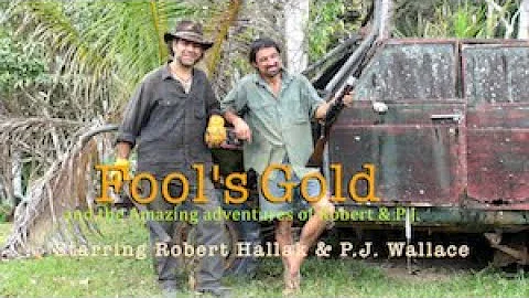 Fools Gold & The Amazing Adventures of Robert & P.J.