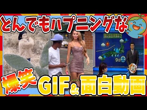 爆笑 とんでもないハプニングが起こってしまったおもしろGIF 画像 動画大全集ｗｗｗ 2ch ガルちゃんまとめ 