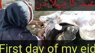 My Eid Day Full Routine Gosht Kitna Nikala ? Countryside Vlog 