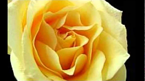 It's The Thought That Counts   David Benoit