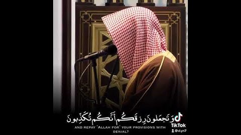 اجمل تلاوة خاشعة للشيخ ناصر القطامي (4)