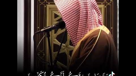 اجمل تلاوة خاشعة للشيخ ناصر القطامي (4)
