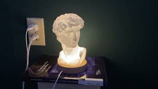 Things In My Darklightgreen Academia Room That Just Make Sense