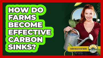 How Do Farms Become Effective Carbon Sinks? - Farm Wealth Network