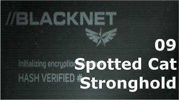 Prototype 2: BLACKNET 09 Spotted Cat - Stronghold 9-B