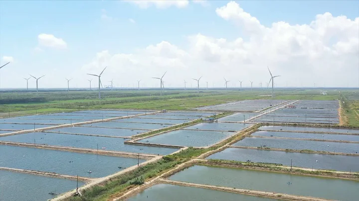 GLOBALink | Exploring offshore wind power port in Nantong, China - DayDayNews