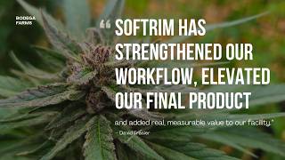 Quality results & measurable value
