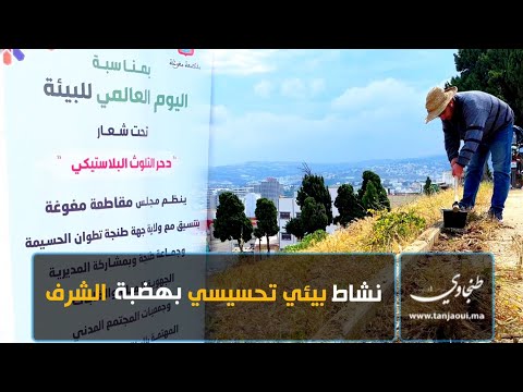 طنجة مقاطعة مغوغة تشرف على نشاط بيئي للتعريف بهضبة الشرف 