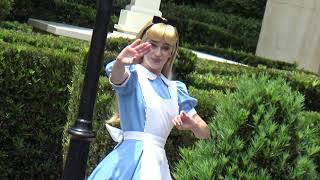 Alice In Wonderland At Epcot On 7282021