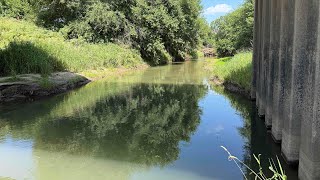 I Can’t Believe What Lives Under This SMALL IOWA CREEK BRIDGE!!!