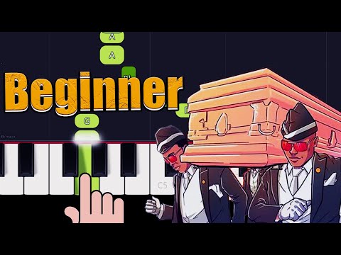 COFFIN DANCE (Beginner) - Ton Igy and Vicetone