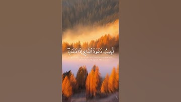 تلاوة عطرة من سورة البقرة للقارئ ادريس ابكر #quran #قرآن #تلاوة_خاشعة #أذكار #اذكروا_الله_يذكركم