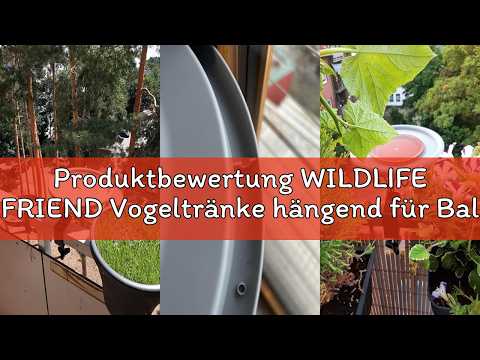 Produktbewertung WILDLIFE FRIEND Vogeltränke hängend für Balkongeländer - frostsicher, Vogelbad Balk