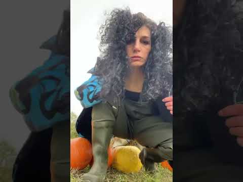Waders around pumpkin patch part 1 🎃