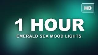 1 Hour Emerald Green Mood Lights 🌊 Smooth Gradient Screen for Sleep, Study & Relaxation