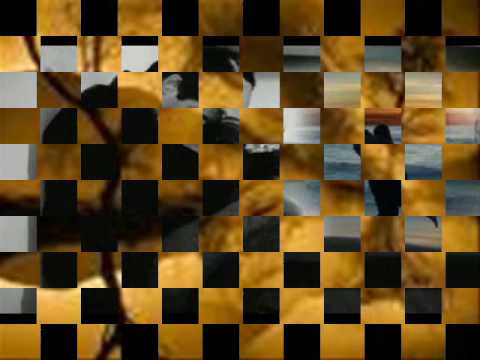 تقدر تتكلم على روحك عمرو دياب