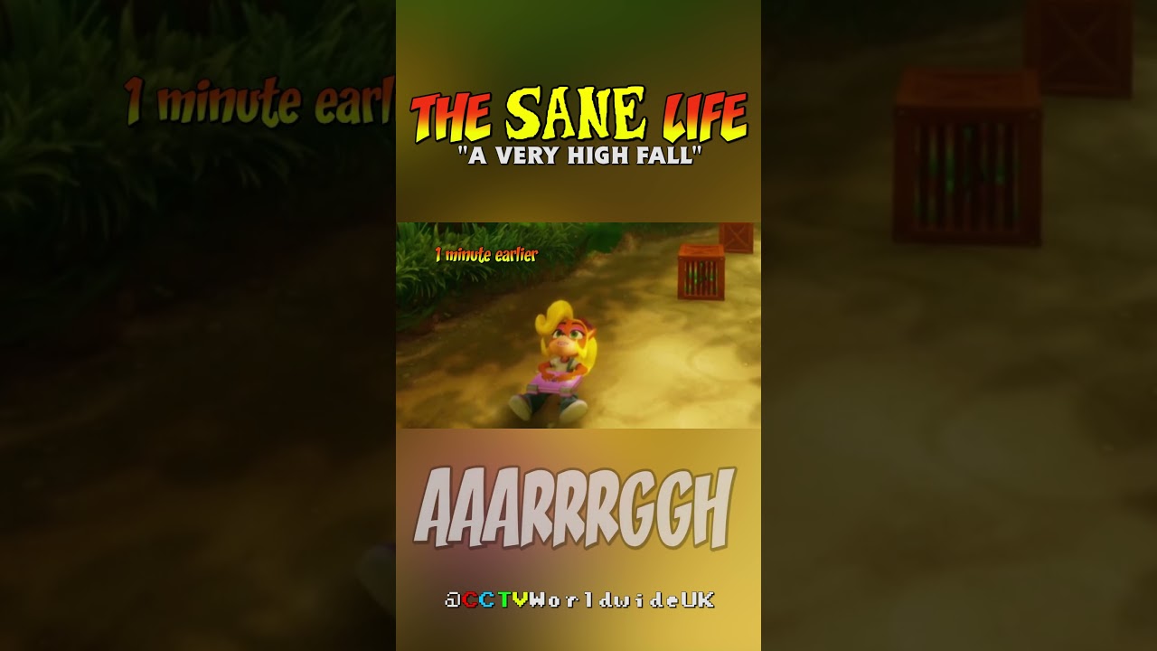 A VERY High Fall | THE SANE LIFE 