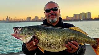 CHICAGO BIG 14.3 WALLEYE ON WGN NEWS