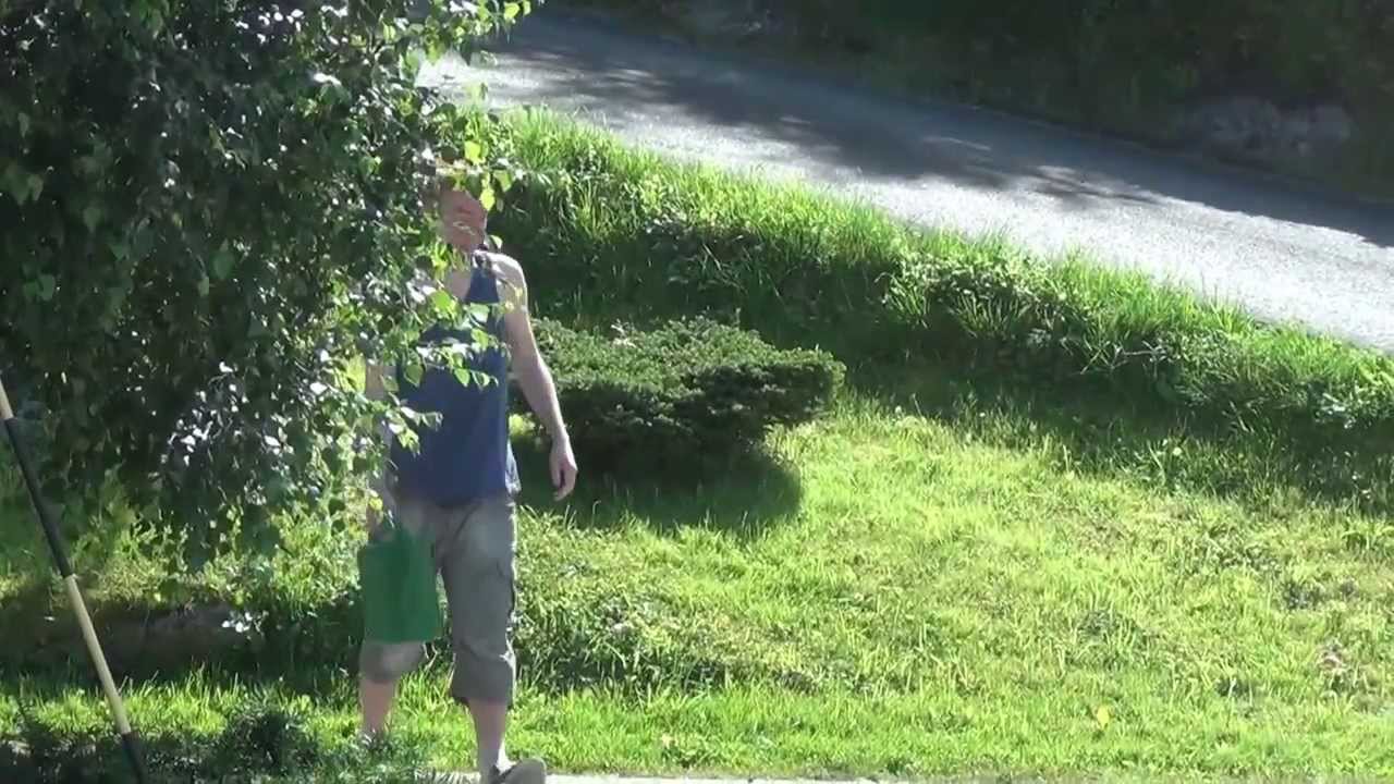 Compilation of randomness 6