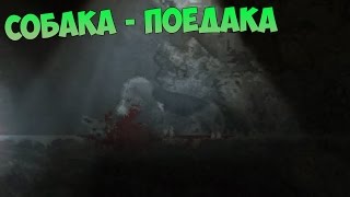 СОБАКА-ПОЕДАКА - DISTRAINT - ПРОХОЖДЕНИЕ #2 СОБАКА-ПОЕДАКА - DISTRAINT - ПРОХОЖДЕНИЕ #2