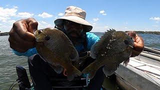Put a Hurting On’em (Bluegill Fishing) Part 2 “The Double Up” feat. Will D