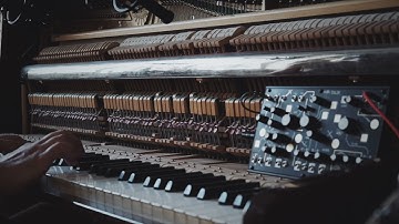 Make Noise Strega and Piano