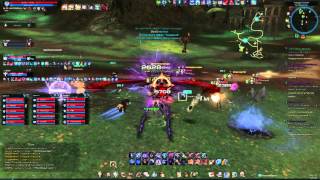 TERA Альянс Локация масс PvP(Гильдия RENAISSANCE)Сервер Кайатор RU офф.