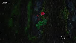 Soft night rain sounds creating a serene background for calm dreaming