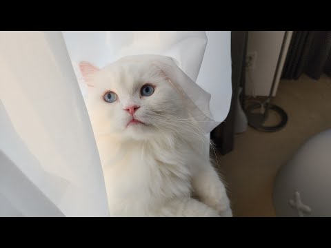 해피 모코모코 데이(Happy <strong>mocomoco</strong> day!)