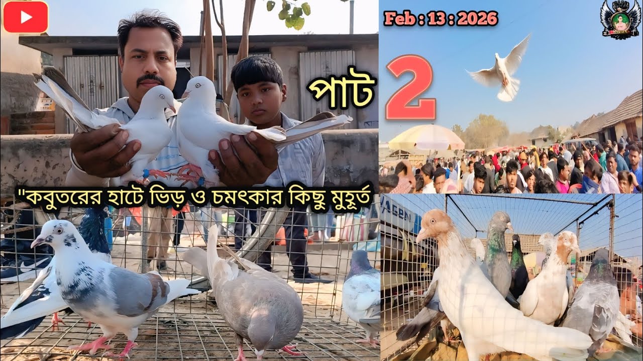 পাখির ডানায় স্বপ্ন ভাসে, নীল আকাশের টানে। একঝাঁক শান্তির প্রতীক আর এক বুক ভালোবাসা।